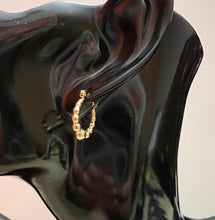 Load image into Gallery viewer, Beaded hoop earrings
